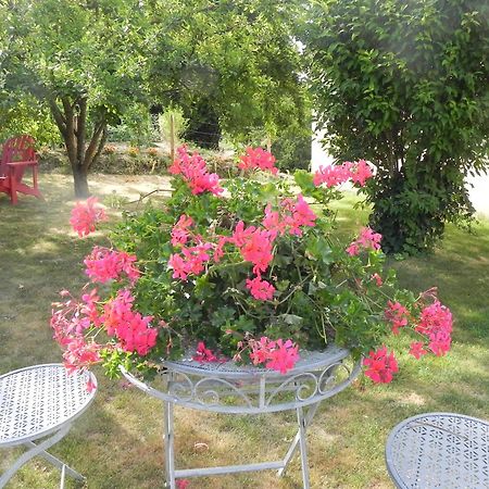 Les Patis Bed & Breakfast Vouvray Exterior photo